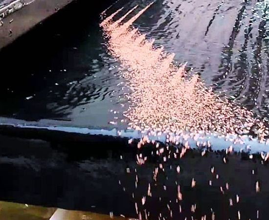 Shaking table Product images